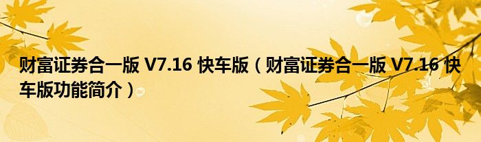 财富证券合一版 V7.16 快车版【财富证券合一版 V7.16 快车版功能简介】