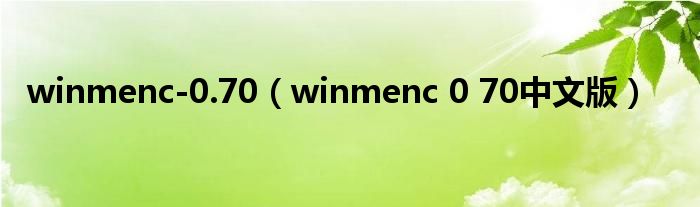 winmenc-0.70【winmenc 0 70中文版】