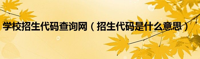 学校招生代码查询网【招生代码是什么意思】