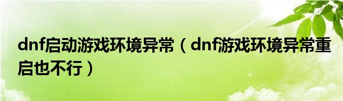 dnf启动游戏环境异常【dnf游戏环境异常重启也不行】