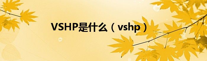 VSHP是什么【vshp】