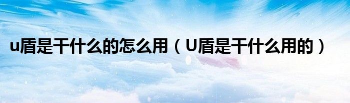 u盾是干什么的怎么用【U盾是干什么用的】