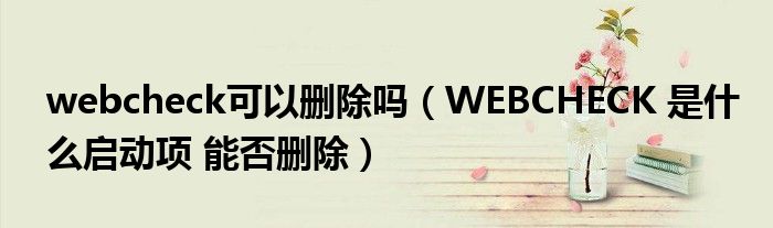 webcheck可以删除吗【WEBCHECK 是什么启动项 能否删除】