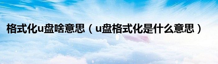 格式化u盘啥意思【u盘格式化是什么意思】