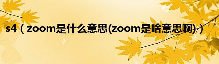 s4【zoom是什么意思(zoom是啥意思啊)】