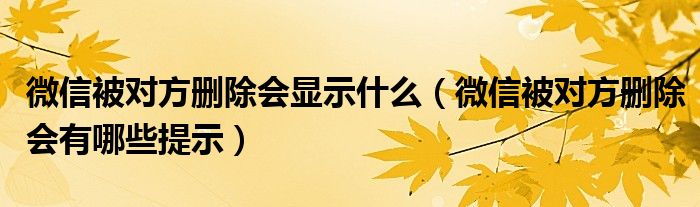 微信被对方删除会显示什么【微信被对方删除会有哪些提示】