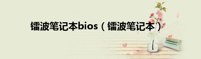 镭波笔记本bios【镭波笔记本】