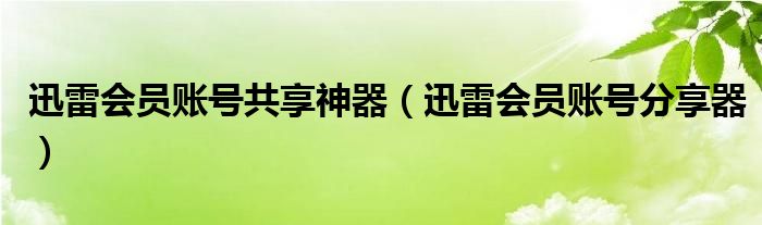 迅雷会员账号共享神器【迅雷会员账号分享器】