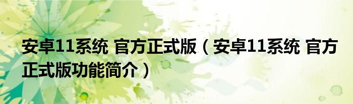 安卓11系统 官方正式版【安卓11系统 官方正式版功能简介】