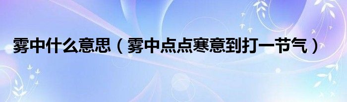 雾中什么意思【雾中点点寒意到打一节气】