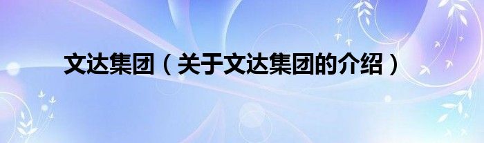 文达集团【关于文达集团的介绍】