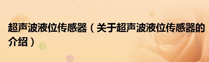 超声波液位传感器【关于超声波液位传感器的介绍】