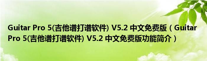 Guitar Pro 5(吉他谱打谱软件) V5.2 中文免费版【Guitar Pro 5(吉他谱打谱软件) V5.2 中文免费版功能简介】