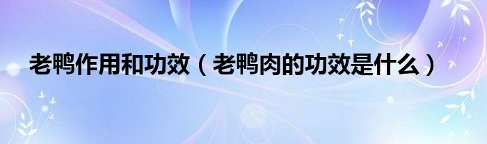 老鸭作用和功效【老鸭肉的功效是什么】