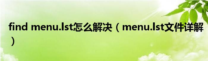 find menu.lst怎么解决【menu.lst文件详解】