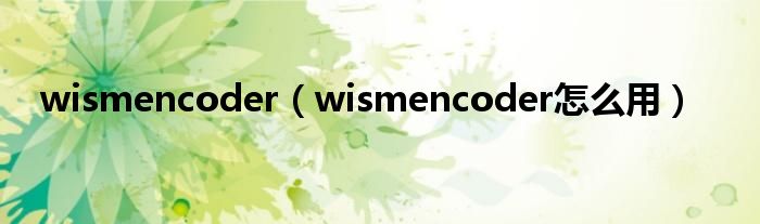 wismencoder【wismencoder怎么用】