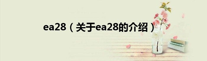 ea28【关于ea28的介绍】