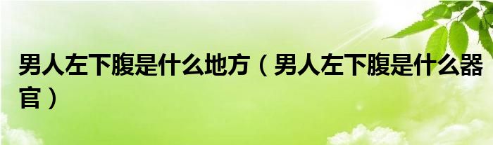 男人左下腹是什么地方【男人左下腹是什么器官】