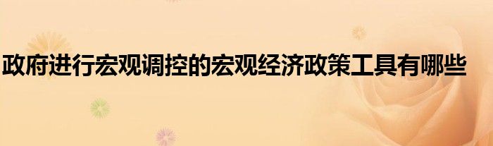 政府进行宏观调控的宏观经济政策工具有哪些