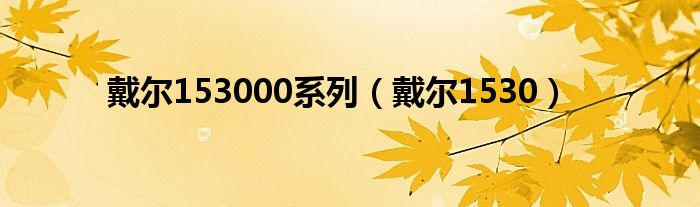 戴尔153000系列【戴尔1530】