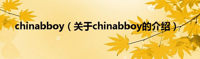 chinabboy【关于chinabboy的介绍】