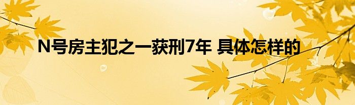 N号房主犯之一获刑7年 具体怎样的