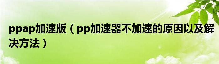 ppap加速版【pp加速器不加速的原因以及解决方法】