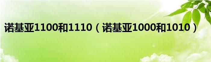 诺基亚1100和1110【诺基亚1000和1010】