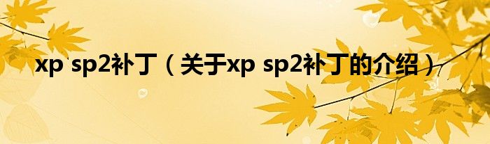 xp sp2补丁【关于xp sp2补丁的介绍】