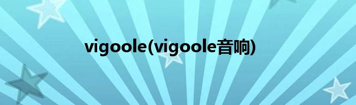 vigoole(vigoole音响)