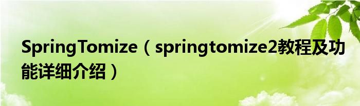 SpringTomize【springtomize2教程及功能详细介绍】