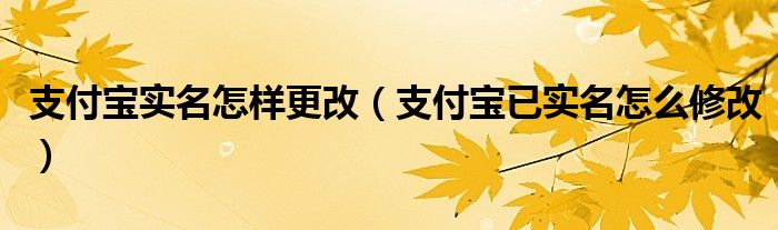 支付宝实名怎样更改【支付宝已实名怎么修改】