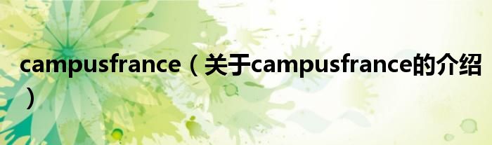 campusfrance【关于campusfrance的介绍】