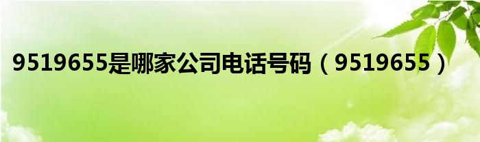 9519655是哪家公司电话号码【9519655】