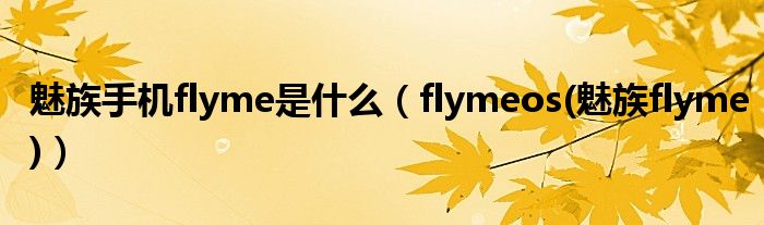 魅族手机flyme是什么【flymeos(魅族flyme)】