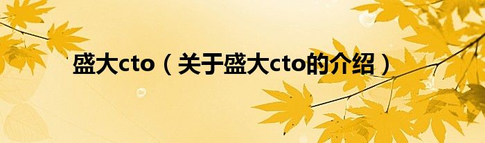 盛大cto【关于盛大cto的介绍】