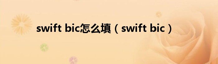 swift bic怎么填【swift bic】