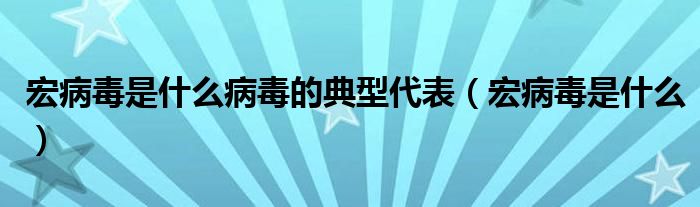 宏病毒是什么病毒的典型代表【宏病毒是什么】