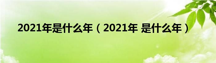 2021年是什么年【2021年 是什么年】