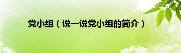 党小组【说一说党小组的简介】