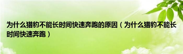 为什么猎豹不能长时间快速奔跑的原因【为什么猎豹不能长时间快速奔跑】