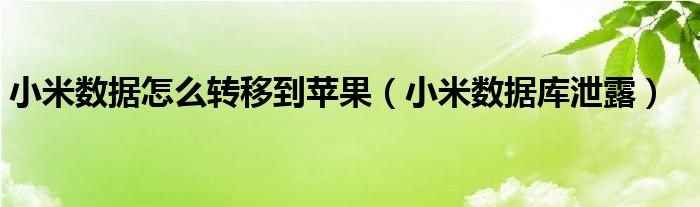 小米数据怎么转移到苹果【小米数据库泄露】