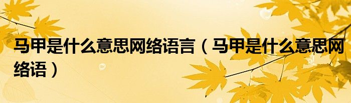 马甲是什么意思网络语言【马甲是什么意思网络语】