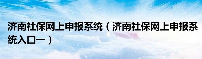 济南社保网上申报系统【济南社保网上申报系统入口一】