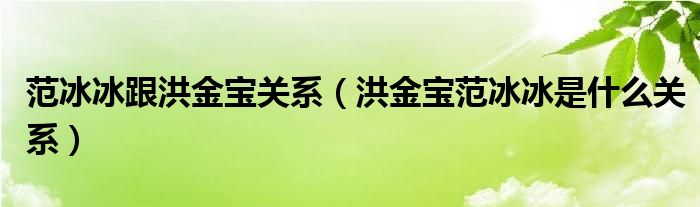 范冰冰跟洪金宝关系【洪金宝范冰冰是什么关系】