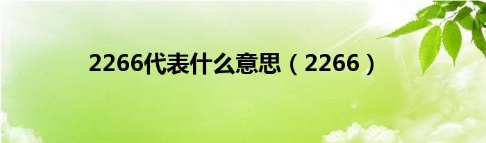 2266代表什么意思【2266】