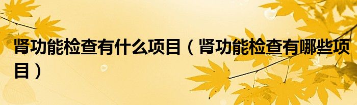 肾功能检查有什么项目【肾功能检查有哪些项目】