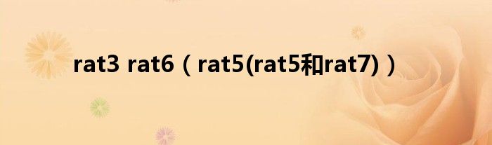 rat3 rat6【rat5(rat5和rat7)】