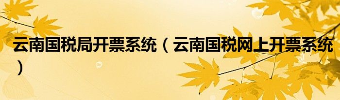 云南国税局开票系统【云南国税网上开票系统】