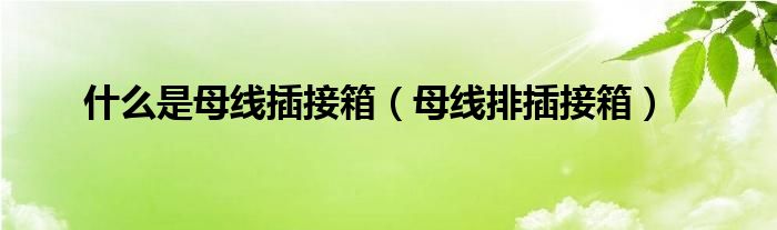 什么是母线插接箱【母线排插接箱】